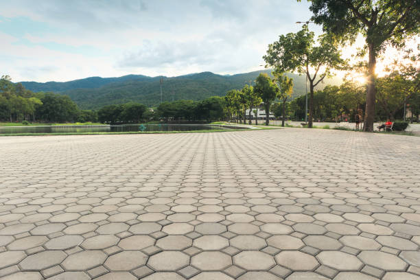Best Driveway Pavers for Homes  in Steilacoom, WA